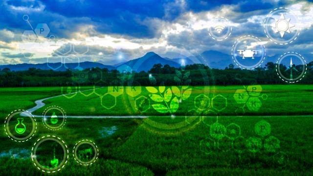 ⓒ게티이미지뱅크