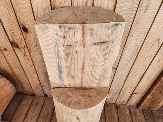 금강송(위)과 일반 소나무 줄기 단면. 짙은 부분이 송진인데 금강송이 일반 소나무보다 송진 함량이 8배 가까이 많다. [사진 박은영]