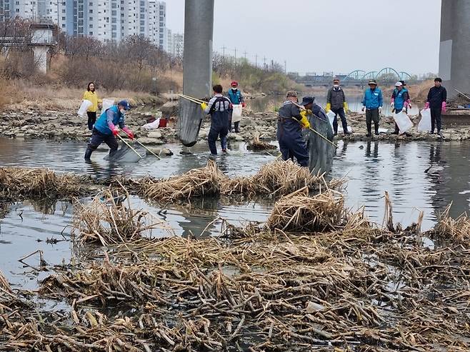[광주=뉴시스] 이영주 기자 = 17일 오전 광주 광산구 황룡강 장록교 아래에서 광산구 직원들이 폐사한 물고기들을 수거하고 있다. (사진 = 독자 제공) 2023.03.17. photo@newsis.com *재판매 및 DB 금지