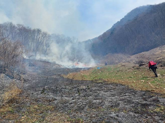충북 제천에서 발생한 산불(사진=산림청, 뉴시스)