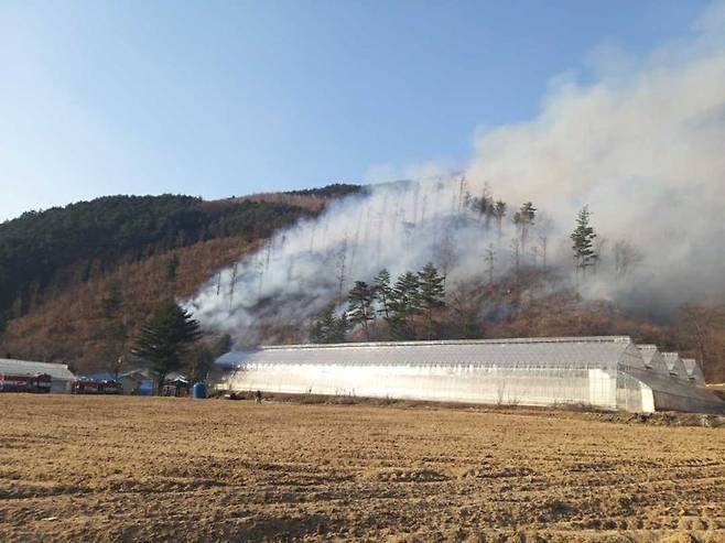 평창 진부면 화재. 강원도소방본부 제공.