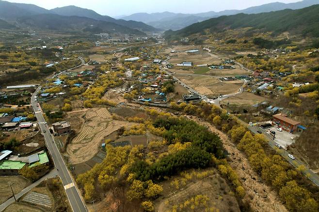 전남 구례군 산동면 상위마을에서 내려다본 산수유마을 전경. 지리산에 둘러싸인 마을 곳곳이 노랗게 물들었다.