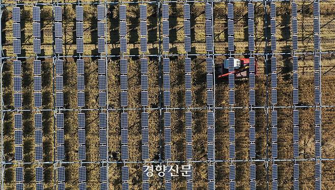 영농형 태양광 시범 농가에서 벼를 재배 중인 김태영씨가 지난해 10월 경기 파주시 적성면에 태양광 판낼이 설치된 논에서 콤바인을 이용해 벼를 수확하고 있다. 권도현 기자