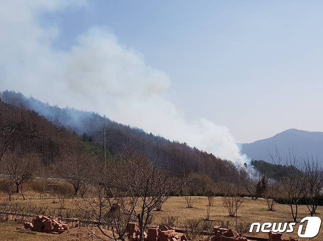 20일 오후 1시51분께 전북 장수군 장계면 명덕리 야산에서 불이 났다.(산림청 제공)2023.3.20/뉴스1