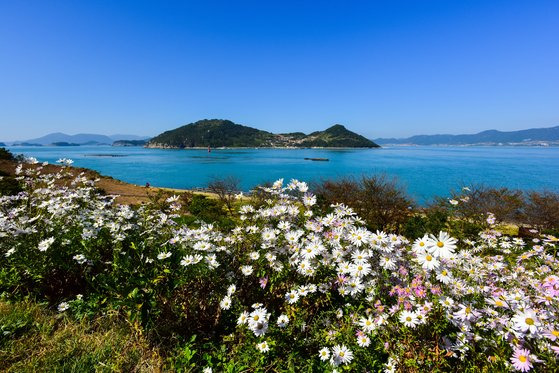 하화도(下花島)는 진달래, 찔레꽃, 유채꽃, 구절초 등 봄철에 피는 각종 꽃이 피어나는 장소로 유명하다. [사진 행정안전부]