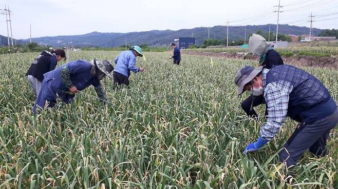 의성군은 4월 6일까지 ‘2023년 의성에서 두 달 살아보기’ 참가자를 모집한다. (의성군 제공) 2023.03.20 