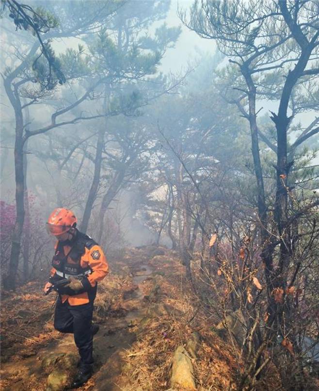 20일 부산 부산진구 팔금산 화재 현장. 부산시 제공