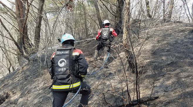 산불을 진화 중인 산불재난특수진화대. 산림청 제공