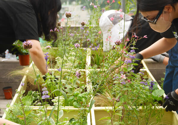 서울가드닝클럽의 공유정원에서 참가자들이 원예활동에 참여하고 있다. 서울가드닝클럽 제공