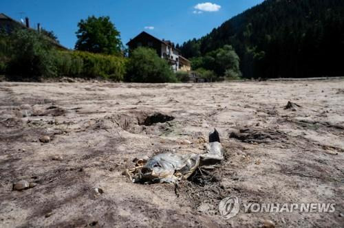 2020년 프랑스에서 가뭄으로 말라죽은 물고기의 모습 [AFP=연합뉴스 자료사진]