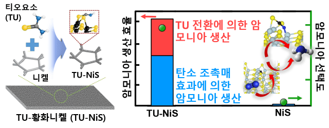 TU-NiS 촉매의 형태와 전기화학적 질소 환원 효율 (자료=과기정통부)