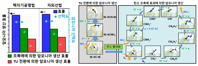 TU-NiS의 전기촉매 NRR 시간별 15N/14N 비율(왼쪽)과 표면 암모니아 합성 경로 개략도(오른쪽) (자료=과기정통부)