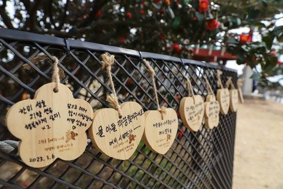 동백정 옆에는 예부터 마을 주민이 풍어제를 지낸 나무가 있다. 축제 기간 나무 울타리에 소원을 적어서 걸 수 있다.