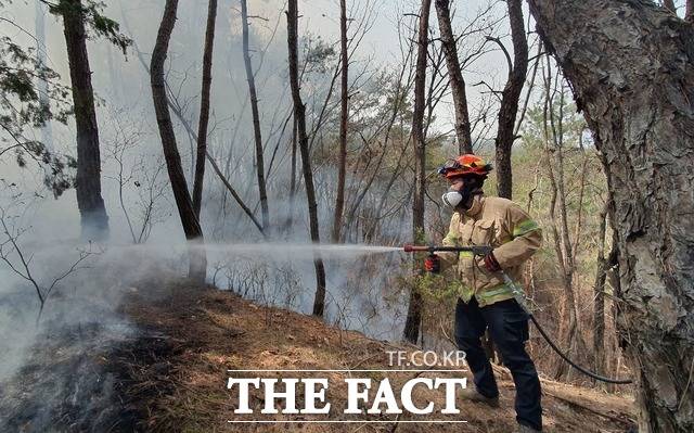 안동의 한 야산에서 불이 나 산불진화대원이 물을 뿌리고 있다/경북소방본부