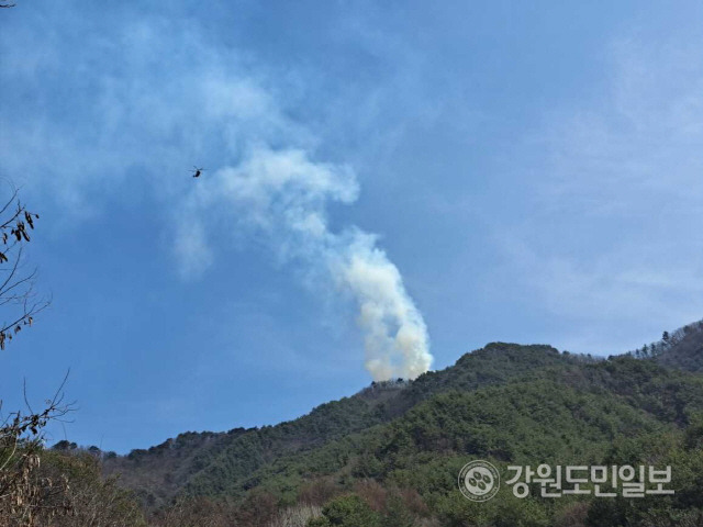 ▲ 양구 국토정중앙면 적리에서 발생한 산불이 약 4시간만에 꺼졌다. 22일 낮 12시 16분쯤 양구군 국토정중앙면 적리 광치터널 인근에서 산불이 발생해 이날 오후 4시 10분쯤 주불이 진화됐다. 소방당국은 잔불 정리작업을 진행 중이다. 피해 규모는 0.5㏊다.