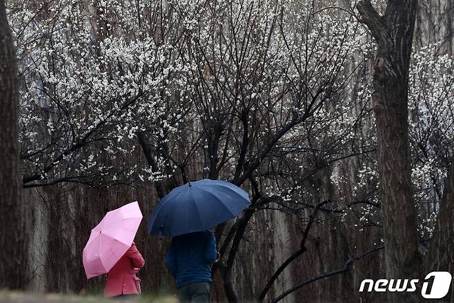 우산을 쓴 시민들이 산책을 하고 있다. /뉴스1 DB ⓒ News1