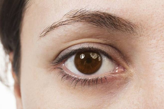 망막. 게티이미지 제공