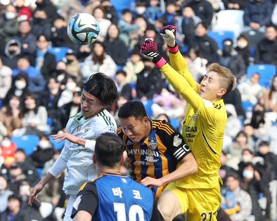 주전 탈환에 도전하는 조현우(오른쪽). 연합뉴스