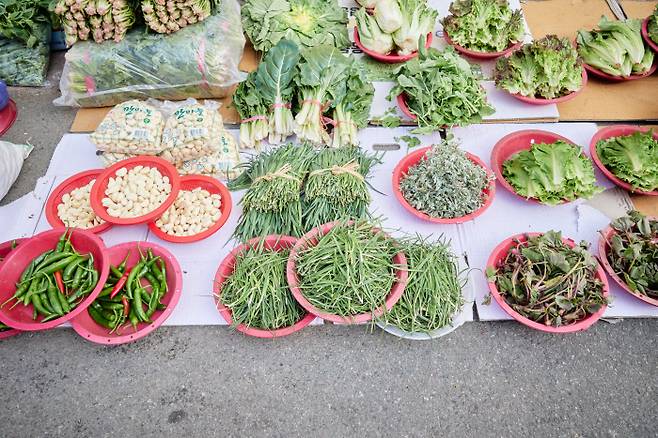 봄을 알리는 ‘초벌’ 부추. 잎 길이가 짧지만 단맛과 향이 좋다.