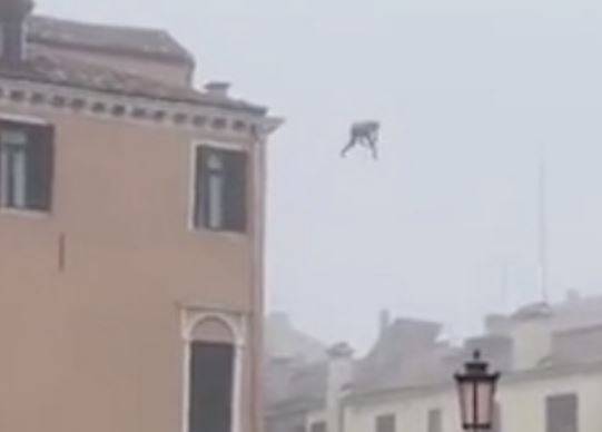 운하 옆 건물 옥상에서 다이빙을 하고 있는 남성 [unionesarda.it 갈무리]