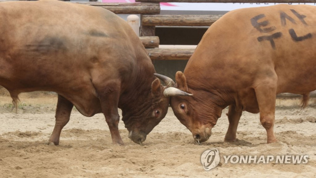 연합뉴스