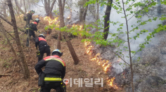 26일 오후 2시 44분께 인천시 강화군 마니산에서 큰불이 나 산불진화대원들이 진화작업을 벌이고 있다 (사진=산림청)