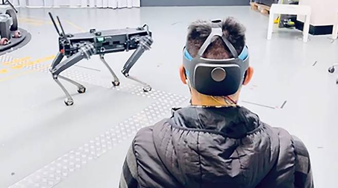 호주 시드니 공과대학(UTS) 연구진이 개발한 바이오센서를 이용해 로봇개를 조종하고 있다.