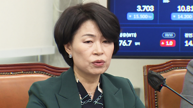 ▲ 더불어민주당 임선숙 최고위원