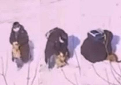 강원도 양구에서 발생한 ‘고양이 패대기’ 사건의 피의자는 10세 미만의 초등학생으로 확인됐다 (사진=동물권행동 카라 제공)