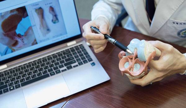 이동원 교수가 전방 십자인대를 가리키고 있다./사진=신지호 사진 기자