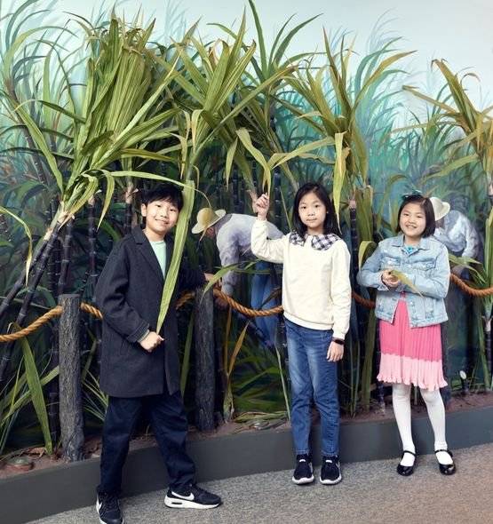 한국이민사박물관은 정부의 허락을 받은 첫 공식 이민인 1902년 하와이 이민 100주년을 기념하기 위해 건립됐으며, 세계로 나간 재외동포들의 역사를 살펴볼 수 있다.