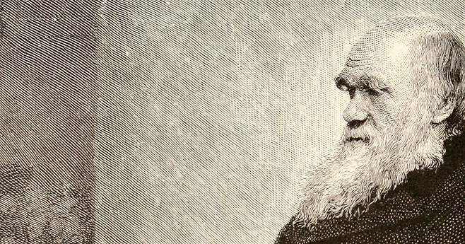 <종의 기원>을 쓴 찰스 다윈(1809~1882). 다윈의 진화론은 허버트 스펜서에게 영향을 주어 사회진화론을 낳았다. 위키미디어 코먼스
