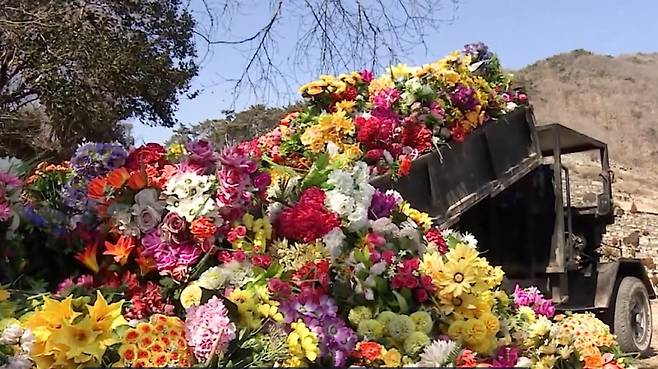 김해시가 공원묘지 등에서 수거한&nbsp;플라스틱조화 ⓒ김해시