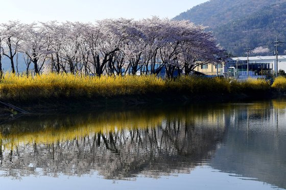 생활의 발견
