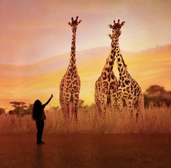 미국 애틀랜타에 위치한 일루미나리움 익스페리언스. 한 관람객이 스크린에 비춰진 기린을 구경하고 있다. 일루미나리움 공식SNS