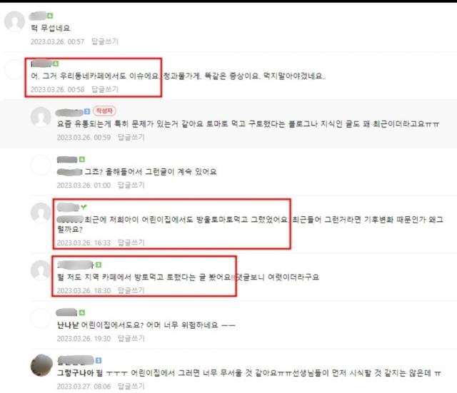 토마토 먹고 구토 증세 호소하는 글들. 온라인 커뮤니티 캡처, 연합뉴스