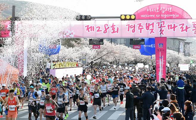 오는 4월1일 수만명의 국내외 마라톤 동호인과 가족 등이 경주의 화려한 벚꽃 속을 달리는 제30회 경주벚꽃마라톤 대회가 열린다.