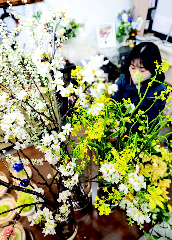 부산 연제구 한 꽃가게에 봄의 대명사인 벚꽃을 들여놓은 모습.  전민철 기자
