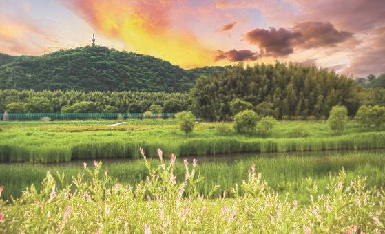 제2호 국가정원에 지정된 울산 태화강 국가정원 전경. 사진 울산시