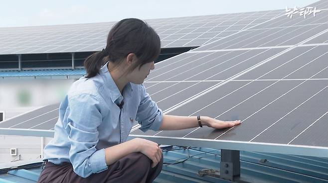 정 씨 사업장 지붕 위 태양광 설비에 쌓인 톱밥 분진.