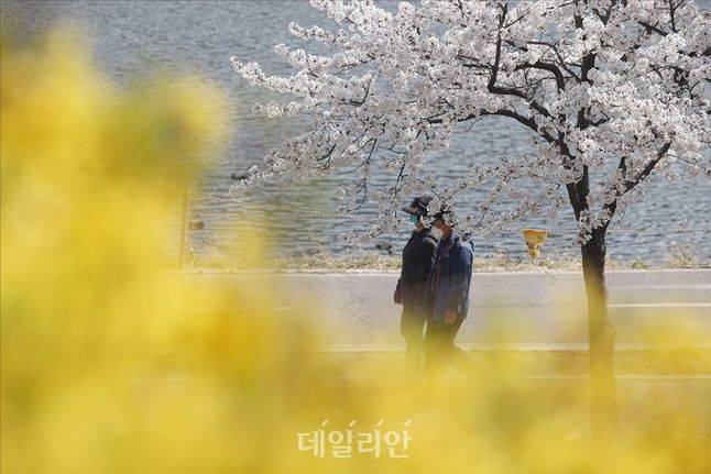 벚꽃 옆을 지나는 시민들. ⓒ데일리안 홍금표 기자