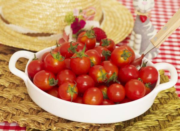 방울토마토, 국제신문 DB.