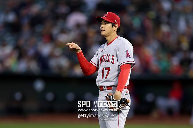 ▲ 메이저리그 역사상 최대 규모 계약이 확실시되는 오타니 쇼헤이