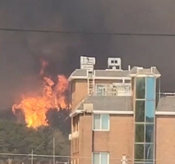 2일 산불이 발생한 충남 홍성 서부면. 주택가 바로 앞까지 산불이 번지고 있다. /파이낸셜뉴스 독자 제공