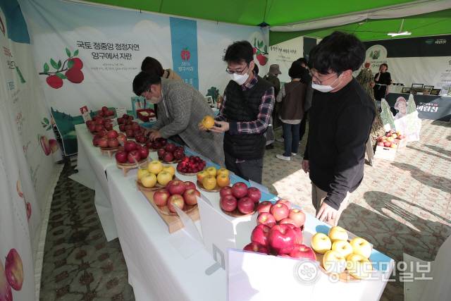 ▲ 양구군과 양구문화재단은 2023 자연중심 양구 곰취축제, 2023 국토정중앙 양구 배꼽축제, 2023 청춘양구 펀치볼 시래기사과축제 등 3대 축제를 모두 방문하면 양구특산물 등을 선물로 제공하는 재방문 유도 이벤트를 진행해 지역경제 활성화에 기여할 방침이라고 2일 밝혔다. 2022 청춘양구 시래기사과축제 모습.