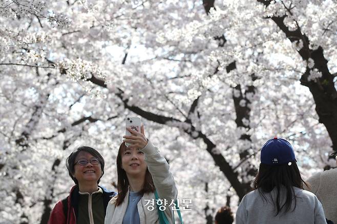 완연한 봄 날씨를 보인 2일 봄꽃축제가 열린 서울 여의도에서 시민들이 벚꽃나무 사이를 걸으며 즐거운 시간을 보내고 있다. 성동훈 기자