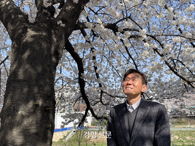 서울 은평구청 강봉기 과장(58)은 8년째 불광천 벚꽃축제 업무를 맡고 있다. 사람들에게 ‘가장 예쁠 때’ 벚꽃을 보여주고 싶다는 마음으로 매년 벚꽃 개화일을 정확하게 예측해내고 있다. 지난달 30일 불광천에서 만난 강 과장이 벚꽃나무 아래서 미소짓고 있다. 유경선 기자