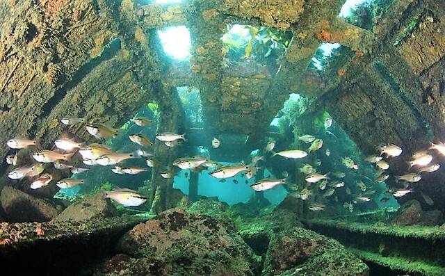 경북도 수산자원연구원은 동해안 친환경 수산 자원의 고급 브랜드화와 내수면 어업의 산업화를 이뤄 소득 증대, 일자리 창출 및 청년 인재 유입 등 체감할 수 있는 경제적 성과를 창출하겠다는 방침이다. 사진은 포항시 연안어장 수산 자원 조성 모습.  포항시 제공