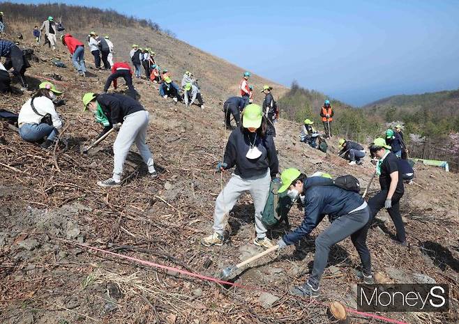 /사진제공=유한킴벌리