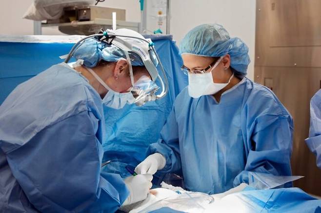 [사진=클립아트코리아]